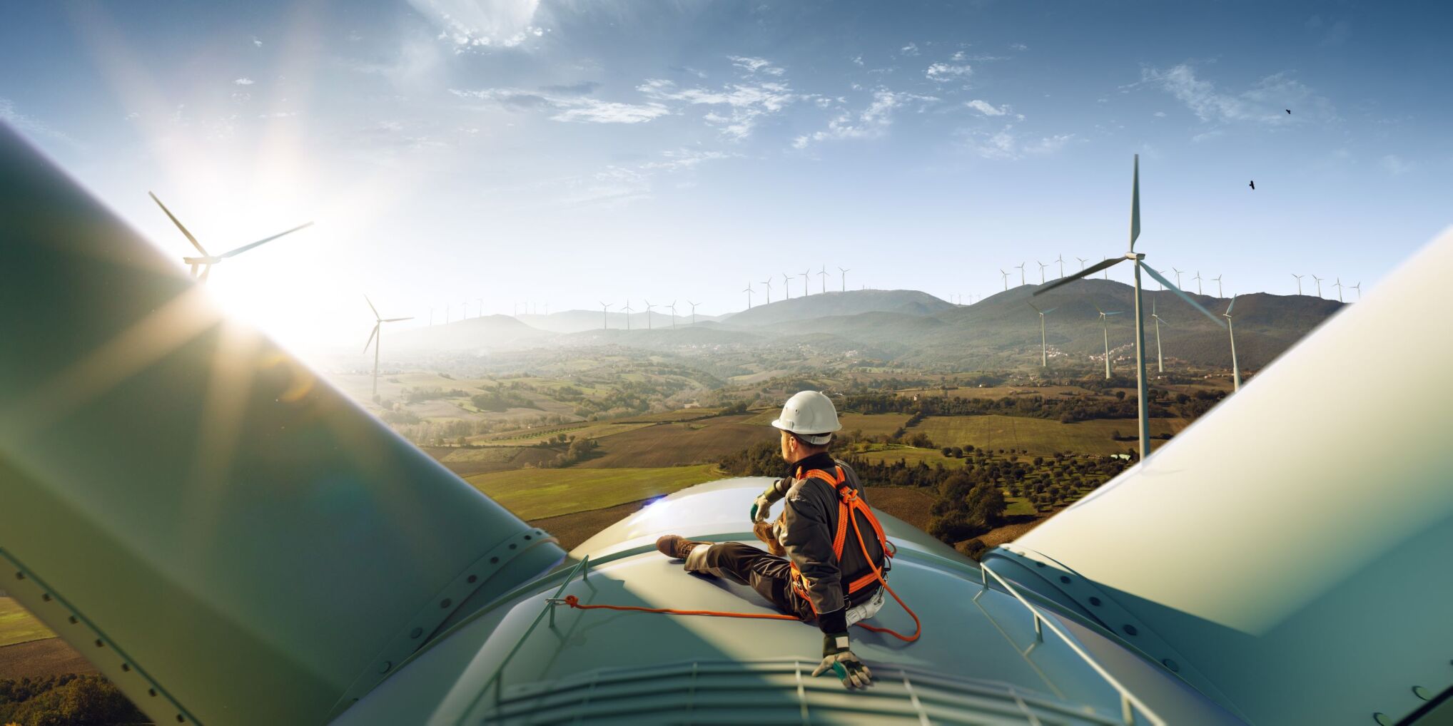 LTC renewable energy photo